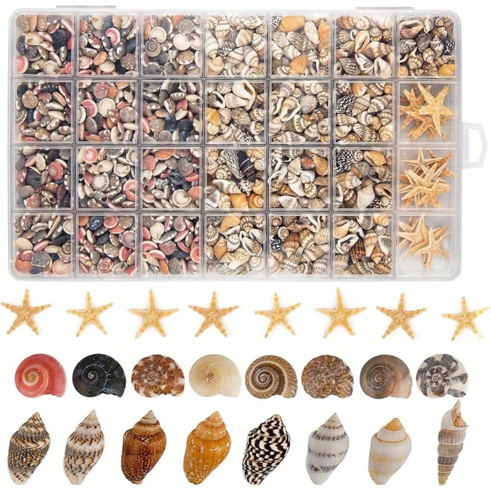 Tiny Seashells Starfish Bulk Set Beach Decor Crafts Vase Filler