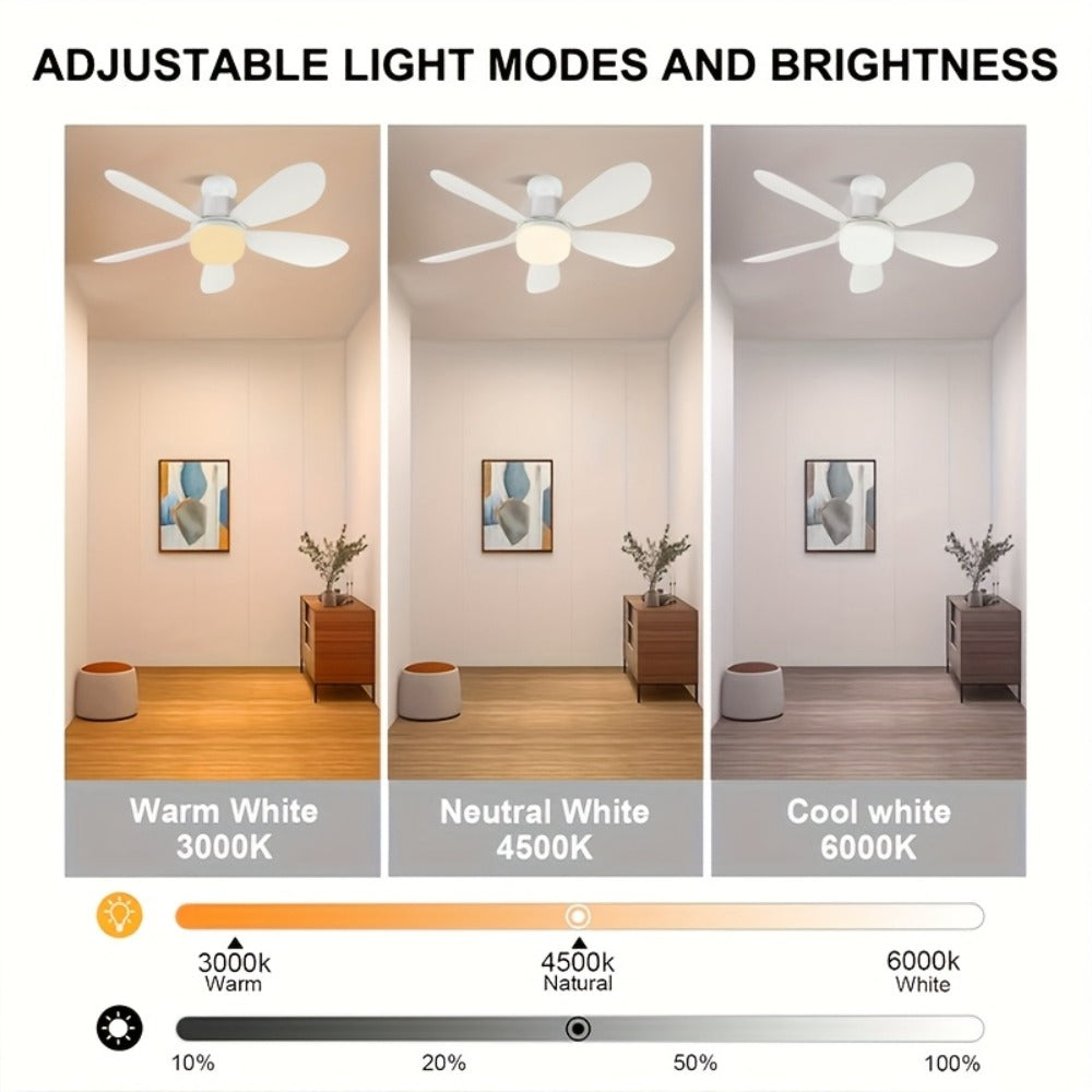 Ceiling Fan with Light and Remote Control | 5-Blade 20 Inch 3-Speed 3-Color Dimmable LED Fan Light | Timing Mute E26/E27 Screw-In Easy Install for Kitchen Living Room Bedroom