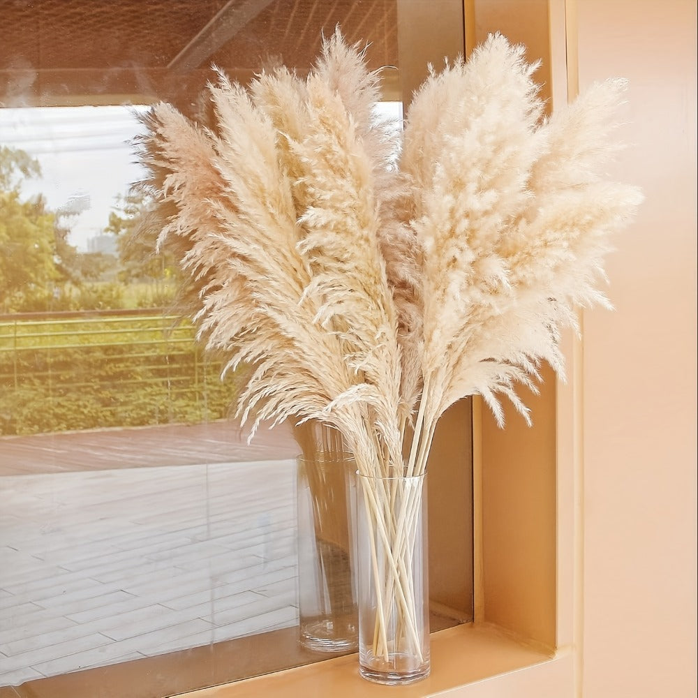 Pampas Grass Decor 10 Stalks 45 Inch Tall Natural Dried Fluffy Plumes for Floor Vase, Living Room, Boho Wall Decor & High-End Home Decoration