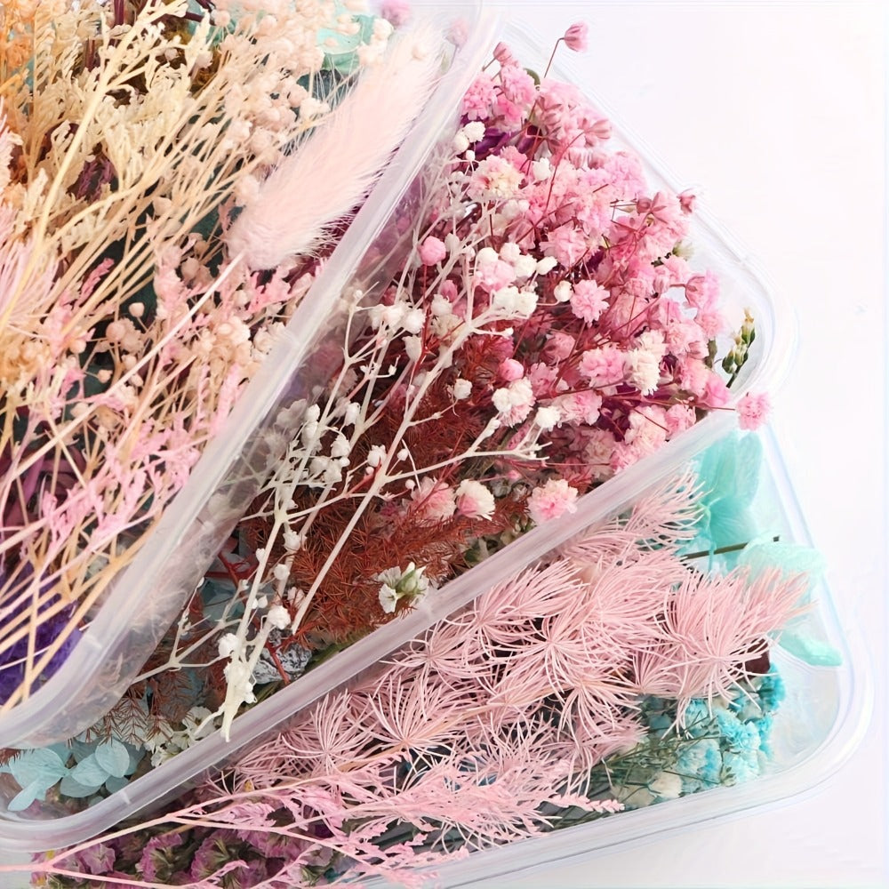 Dried Flowers 4 Boxes Mixed Colors - Natural Dried Floral Set for Candle Making, Resin Jewelry, Greeting Cards, Photo Frames, Scrapbooking & DIY Craft Decoration