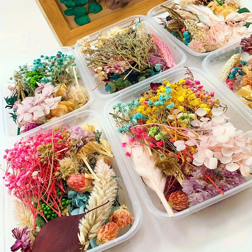 Dried Flowers 4 Boxes Mixed Colors - Natural Dried Floral Set for Candle Making, Resin Jewelry, Greeting Cards, Photo Frames, Scrapbooking & DIY Craft Decoration