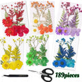 Dried Flower Set for Crafts ¨C Real Pressed Flowers for Resin, Scrapbooking, Epoxy Jewelry, Bookmarks, Wedding Cards & Art Decoration, 189 / 238 / 287 / 319 Pieces Mixed Variety Pack