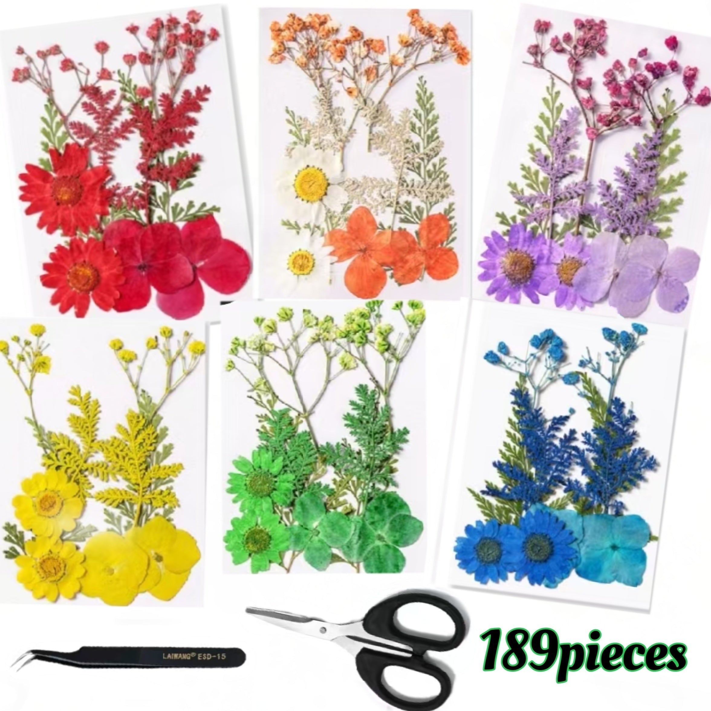 Dried Flower Set for Crafts ¨C Real Pressed Flowers for Resin, Scrapbooking, Epoxy Jewelry, Bookmarks, Wedding Cards & Art Decoration, 189 / 238 / 287 / 319 Pieces Mixed Variety Pack