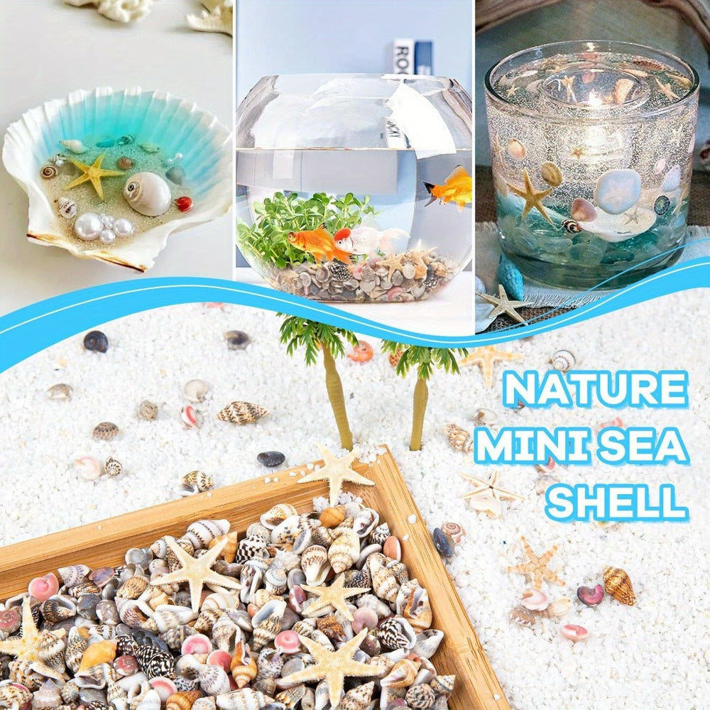 Tiny Seashells Starfish Bulk Set Beach Decor Crafts Vase Filler