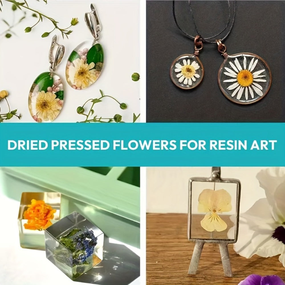 Dried Flower Set for Crafts ¨C Real Pressed Flowers for Resin, Scrapbooking, Epoxy Jewelry, Bookmarks, Wedding Cards & Art Decoration, 189 / 238 / 287 / 319 Pieces Mixed Variety Pack