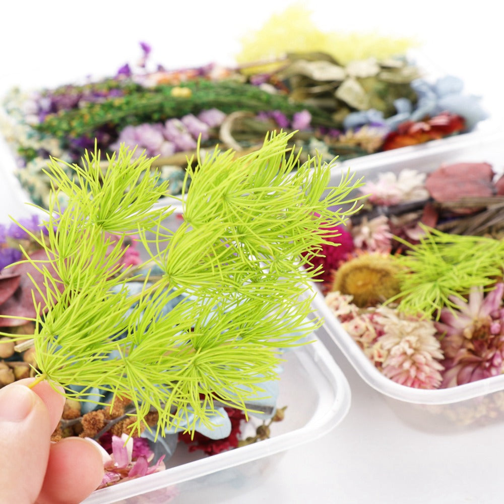 Dried Flowers 4 Boxes Mixed Colors - Natural Dried Floral Set for Candle Making, Resin Jewelry, Greeting Cards, Photo Frames, Scrapbooking & DIY Craft Decoration