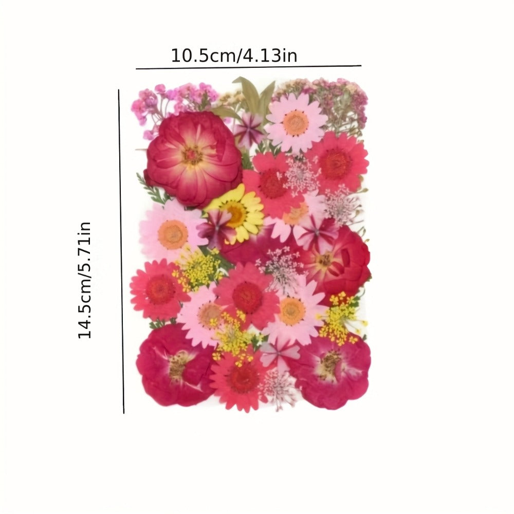 Dried Pressed Flowers Kit 500pcs ¨C Natural Real Flower Petals & Leaves for Resin Art, Nail Art, Jewelry Making, Scrapbooking, Phone Case Decor, Candle Making & DIY Floral Crafts