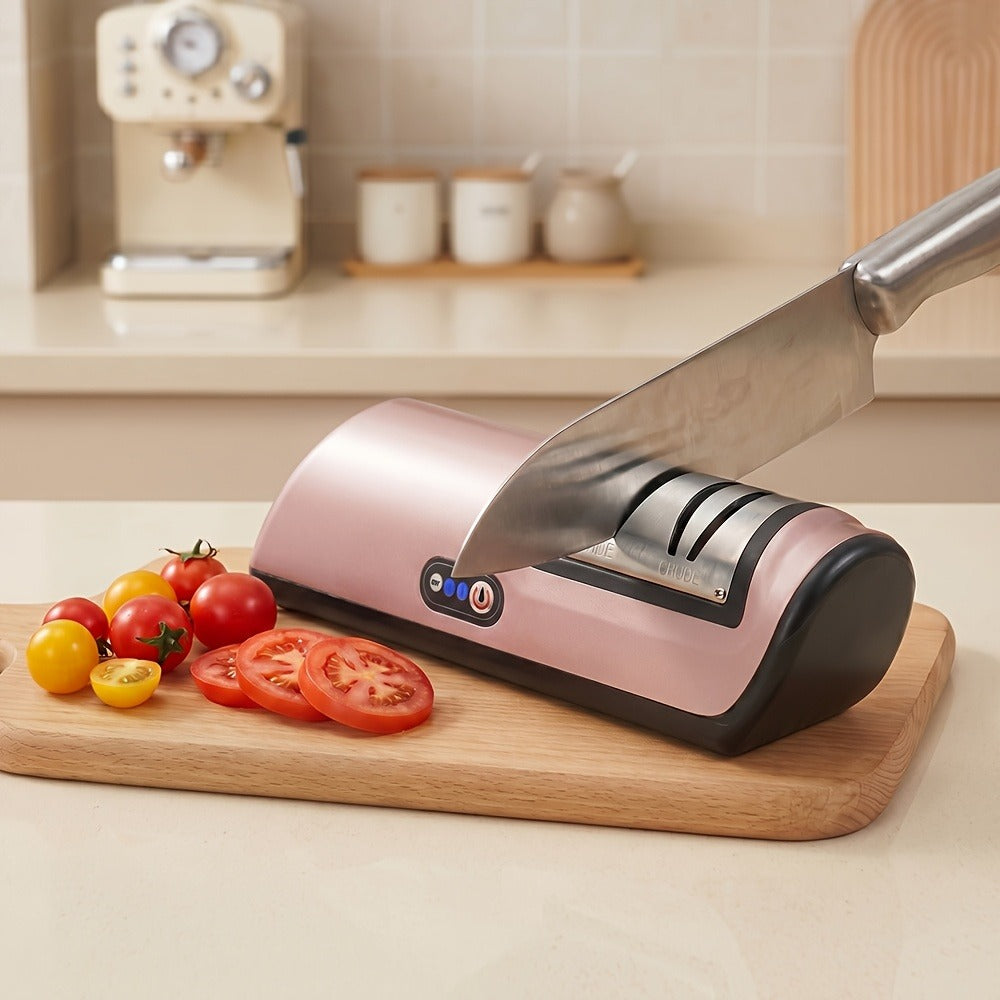 Electric Knife Sharpener 2-Stage ¨C Automatic Professional Kitchen Knife Sharpener with Built-In Guides & Sanding Wheel for All Knives, Santoku, Fillet, Chef & Hunting Blades