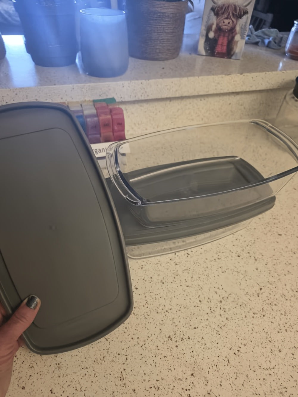 Glass Baking Dish with Lid, 1.9 Qt Rectangular Glass Loaf Pan with Handles, Oven & Microwave Safe Airtight Food Storage Container, Stackable Glass Bread Pan for Baking Bread Cakes, with Silicone Brush
