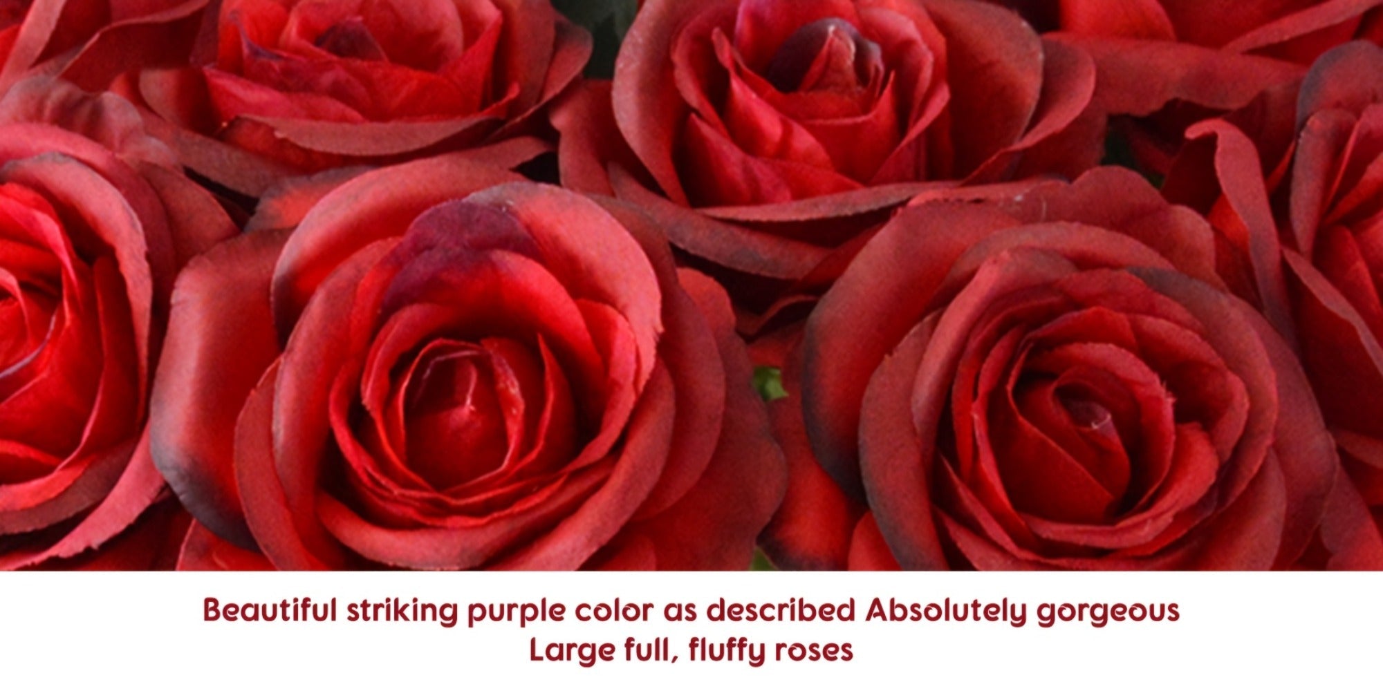 10pcs Artificial Silk Roses Bulk - Fake Flowers for Wedding Home Decor, 19.69¡± Long Stem, Deep Purple & Dark Green