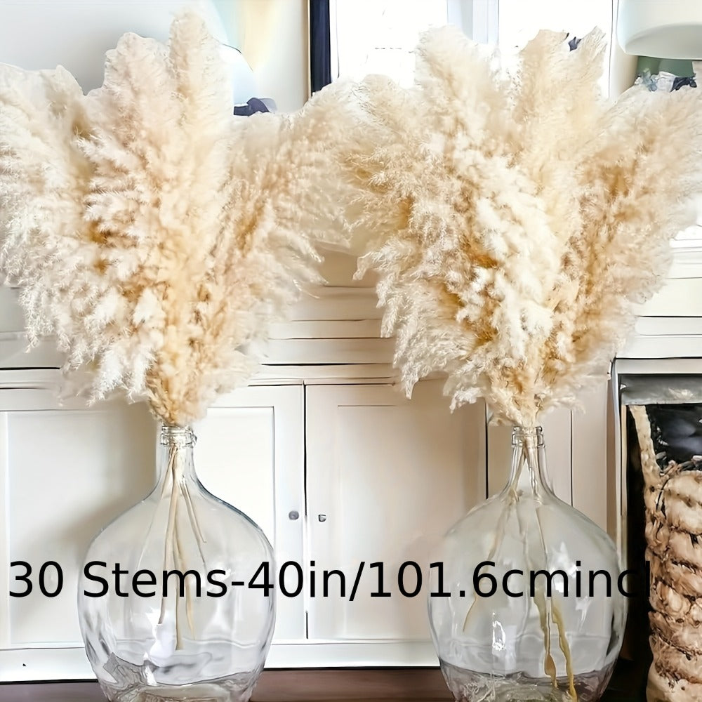 Natural Pampas Grass Decor 40 Inch Tall Dried Pampas Grass Stems for Vase Wedding Boho Farmhouse Home Decor Living Room Floor Arrangement