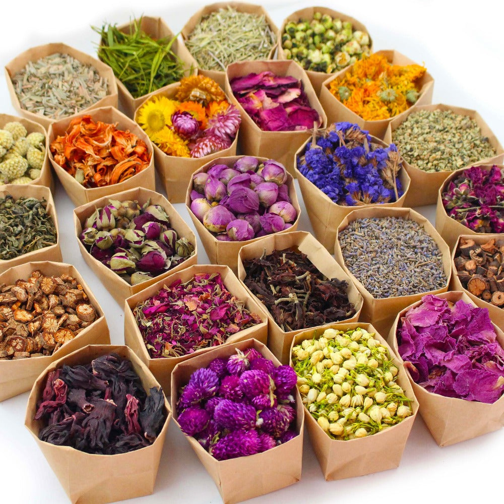 Dried Flowers Craft Set 24 Packs Natural Dried Botanicals for Resin Jewelry Making DIY Candle Soap Scrapbook Seasonal Decor Roses Lavender Jasmine Peony Forget-Me-Not Mixed Flower Kit