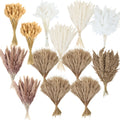 Dried Pampas Grass Decor Bouquet ¨C Natural Fluffy Pampas Stems for Boho Wedding Centerpiece, Living Room Vase Filler, Nursery & Home Decor, Aesthetic Dried Flowers Arrangement, 110 or 300 Pcs