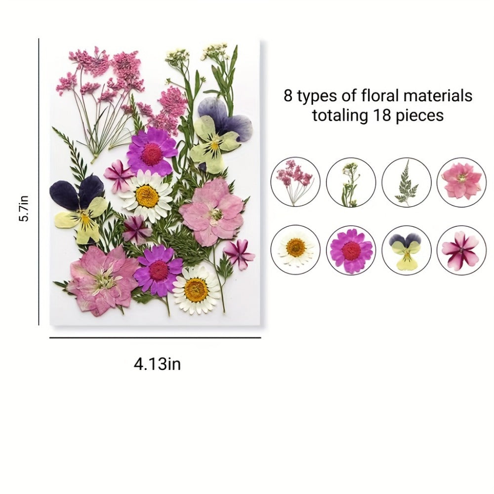Dried Flower Set for Crafts ¨C Real Pressed Flowers for Resin, Scrapbooking, Epoxy Jewelry, Bookmarks, Wedding Cards & Art Decoration, 189 / 238 / 287 / 319 Pieces Mixed Variety Pack