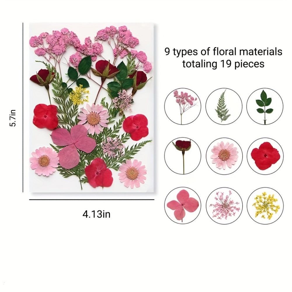 Dried Flower Set for Crafts ¨C Real Pressed Flowers for Resin, Scrapbooking, Epoxy Jewelry, Bookmarks, Wedding Cards & Art Decoration, 189 / 238 / 287 / 319 Pieces Mixed Variety Pack
