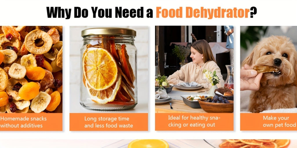 Food Dehydrator Machine 5 Stainless Steel Trays 420W with 48-Hour Timer Temperature Control 95-160¡ãF 360¡ã Airflow BPA-Free Dehydrator for Jerky Herbs Meat Fruit Mushrooms with Recipe Book