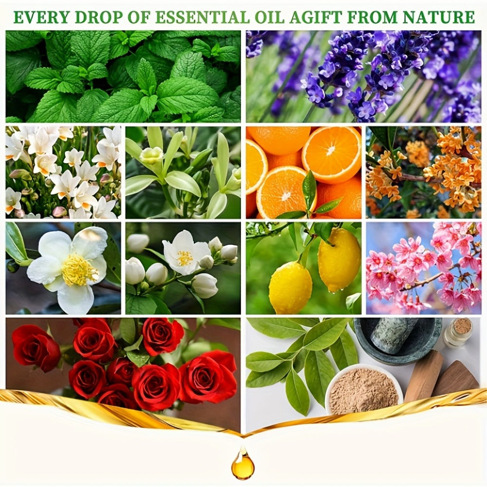 Fragrance Essential Oil Gift Set ¨C Premium Hotel Scent Diffuser Oils for Candle Making, Aromatherapy & Home Fragrance | 12 or 24 Piece Set