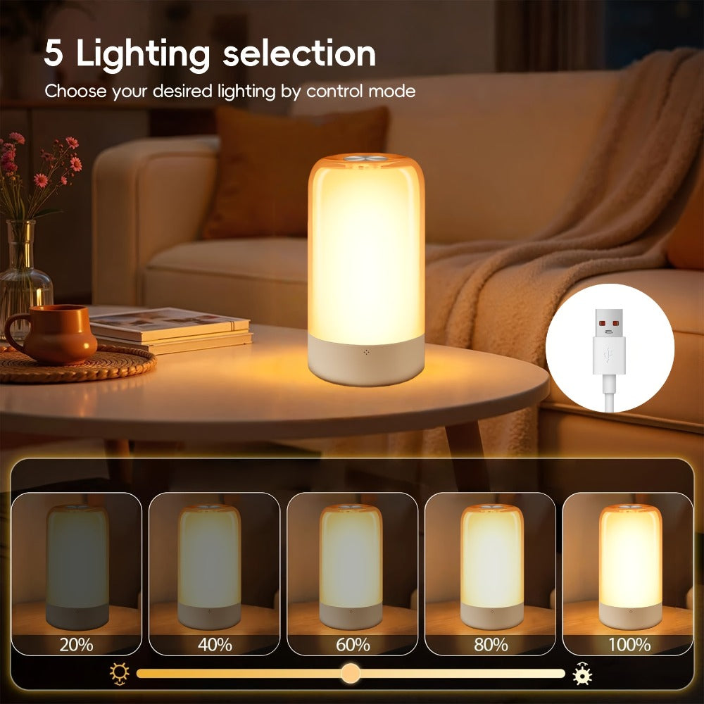 RGB Night Light Touch Control Bedside Lamp 13 Colors 3-Level Dimming LED Desk Lamp USB Powered for Bedroom Kids Room Bathroom Christmas Gift Decor