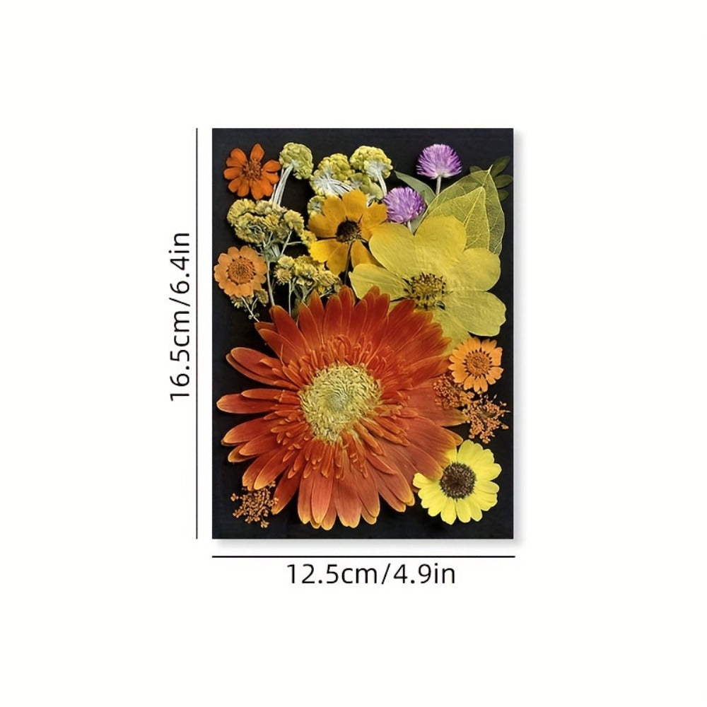 Dried Pressed Flowers for Resin 60pcs Real Pressed Flowers Dry Leaves Bulk Natural Herbs Kit for Scrapbooking DIY Art Crafts, Epoxy Resin Jewelry Molds, Candle Soap Making Nail Decor