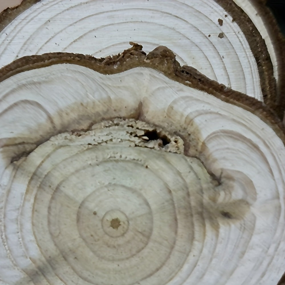 Wood Slices 28 Pcs Natural Log Bark Rounds for Crafts DIY Centerpieces Christmas Ornaments Wreaths Wedding Decor Painting Woodworking 2.76-3.54 Inch with or without Holes