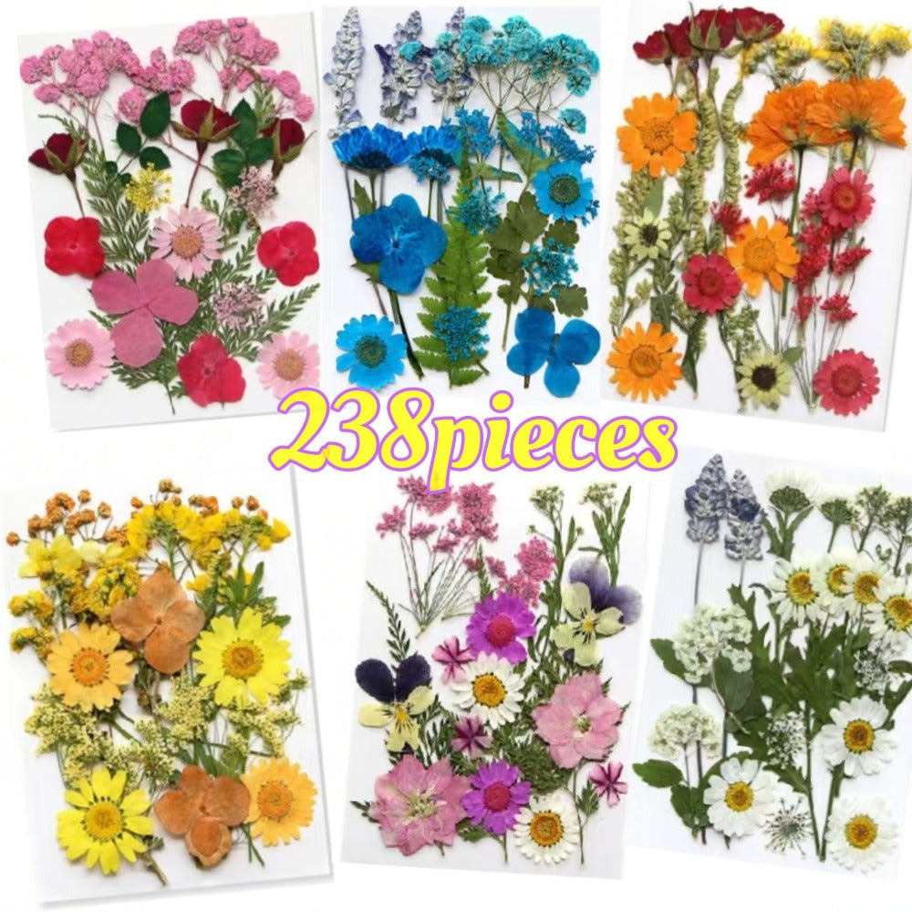Dried Flower Set for Crafts ¨C Real Pressed Flowers for Resin, Scrapbooking, Epoxy Jewelry, Bookmarks, Wedding Cards & Art Decoration, 189 / 238 / 287 / 319 Pieces Mixed Variety Pack