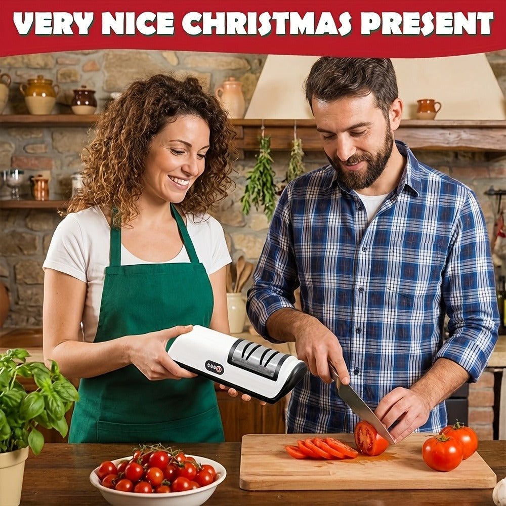 Electric Knife Sharpener 2-Stage ¨C Automatic Professional Kitchen Knife Sharpener with Built-In Guides & Sanding Wheel for All Knives, Santoku, Fillet, Chef & Hunting Blades