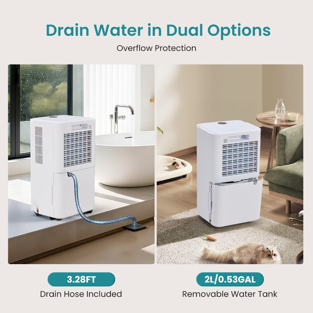 Dehumidifier for Basement 50 Pint 5500 Sq Ft with Drain Hose, Portable Home Dehumidifier for Large Room Bedroom Bathroom, 3 Modes Auto Shut-Off Quiet Fan Washable Filter Humidity Control