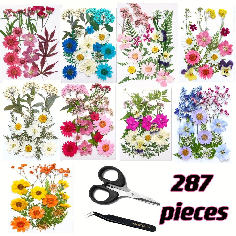 Dried Flower Set for Crafts ¨C Real Pressed Flowers for Resin, Scrapbooking, Epoxy Jewelry, Bookmarks, Wedding Cards & Art Decoration, 189 / 238 / 287 / 319 Pieces Mixed Variety Pack