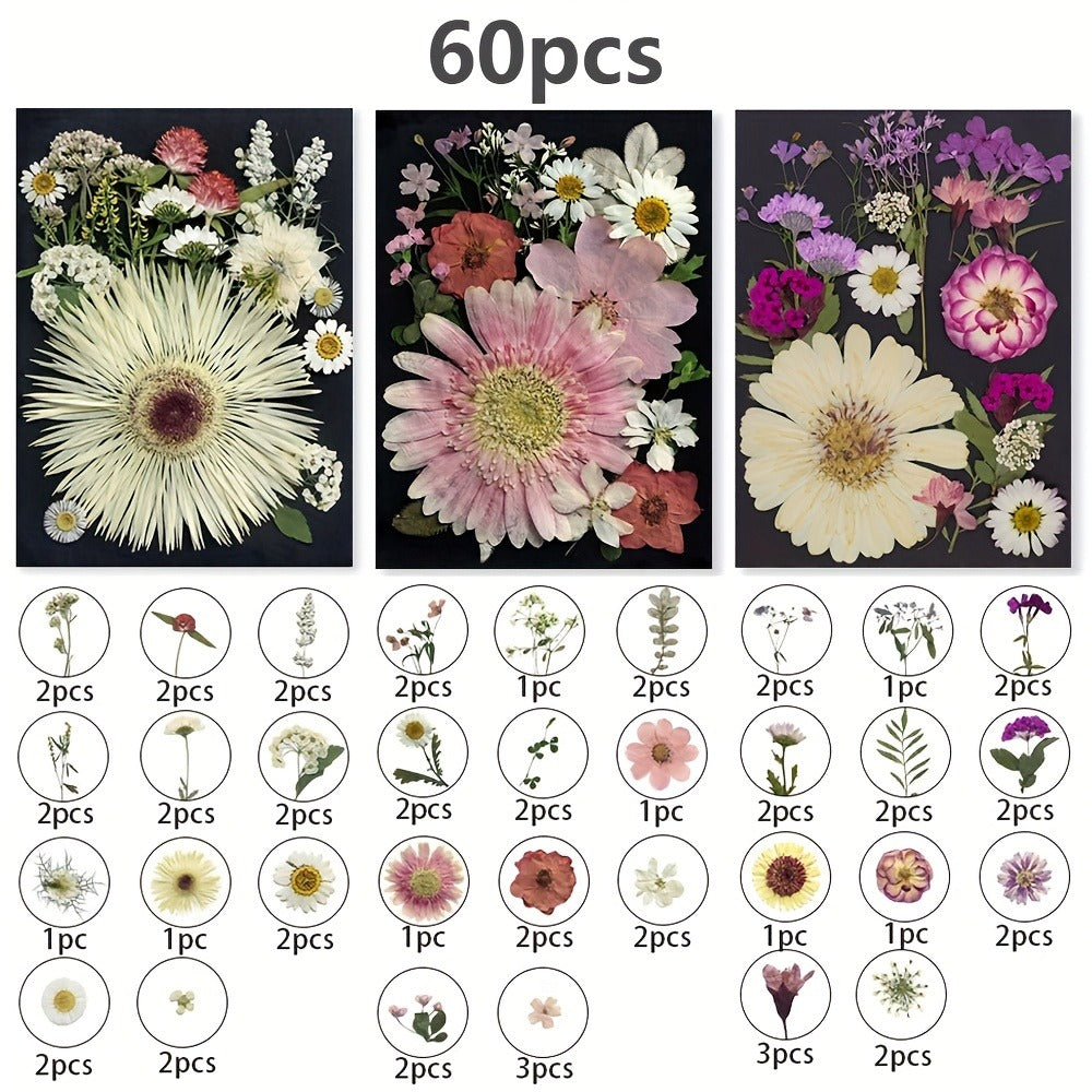 Dried Pressed Flowers for Resin 60pcs Real Pressed Flowers Dry Leaves Bulk Natural Herbs Kit for Scrapbooking DIY Art Crafts, Epoxy Resin Jewelry Molds, Candle Soap Making Nail Decor