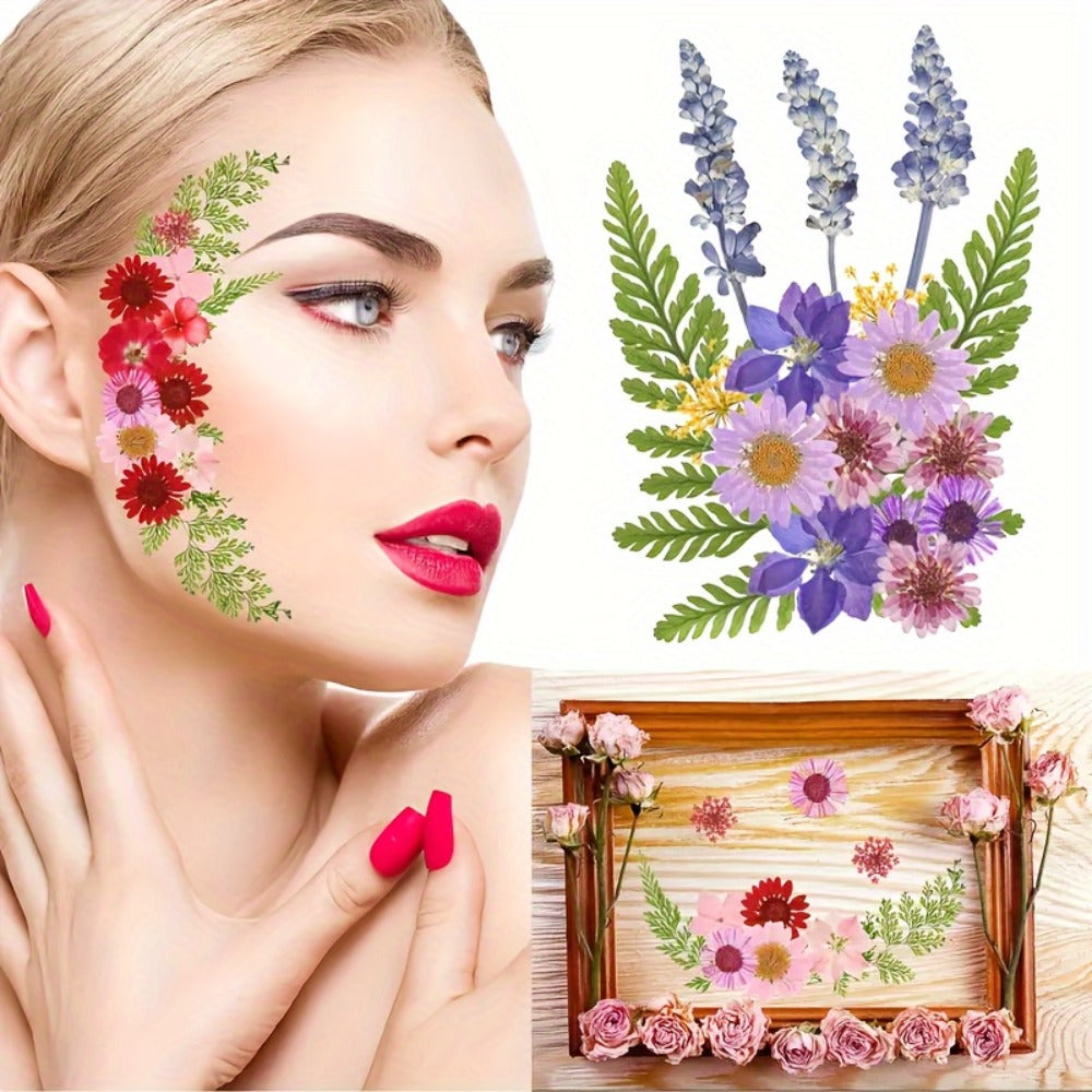 Dried Flower Set for Crafts ¨C Real Pressed Flowers for Resin, Scrapbooking, Epoxy Jewelry, Bookmarks, Wedding Cards & Art Decoration, 189 / 238 / 287 / 319 Pieces Mixed Variety Pack