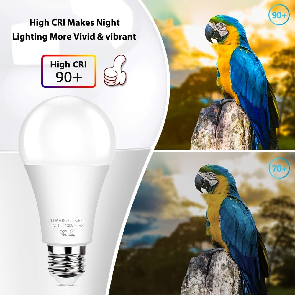 Outdoor Light Bulbs Dusk to Dawn, A19 E26 LED Sensor Bulb 9W 60W Equivalent 800LM 5000K Daylight White, Auto On Off Photocell Smart Sensor, for Porch Garage Yard Entryway Indoor Outdoor Lighting