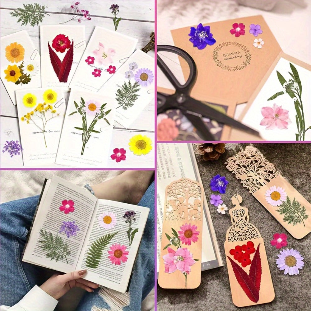 Dried Flower Set for Crafts ¨C Real Pressed Flowers for Resin, Scrapbooking, Epoxy Jewelry, Bookmarks, Wedding Cards & Art Decoration, 189 / 238 / 287 / 319 Pieces Mixed Variety Pack