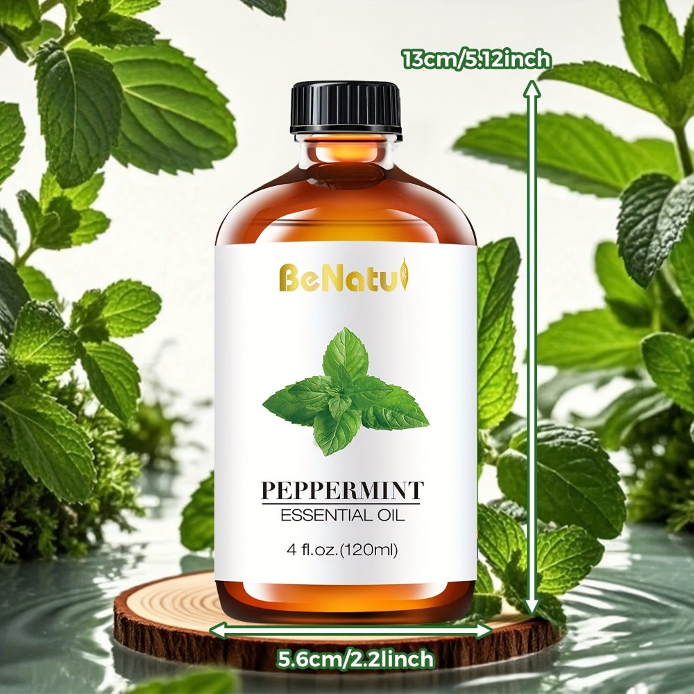 Carrier Oil & Essential Oil 4oz Argan Jojoba Rosehip Vitamin E Rosemary Lemongrass Vanilla Cinnamon for Massage Body Oil Diffuser Soap Candle Hair Skin Care