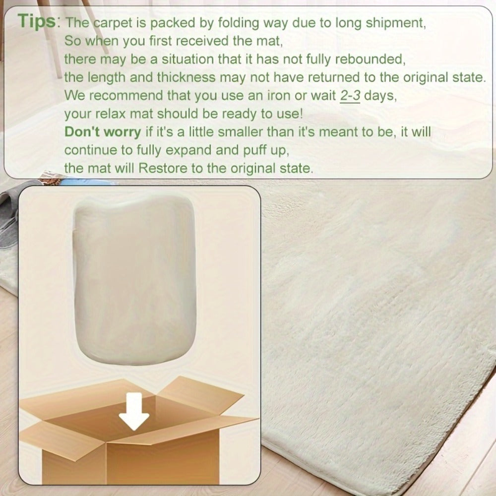 Fluffy Shag Area Rug Soft Plush Carpet Non-Slip for Living Room Bedroom Bedside 100% Polyester Tufted Indoor Floor Rug Home Decor Multiple Colors and Sizes