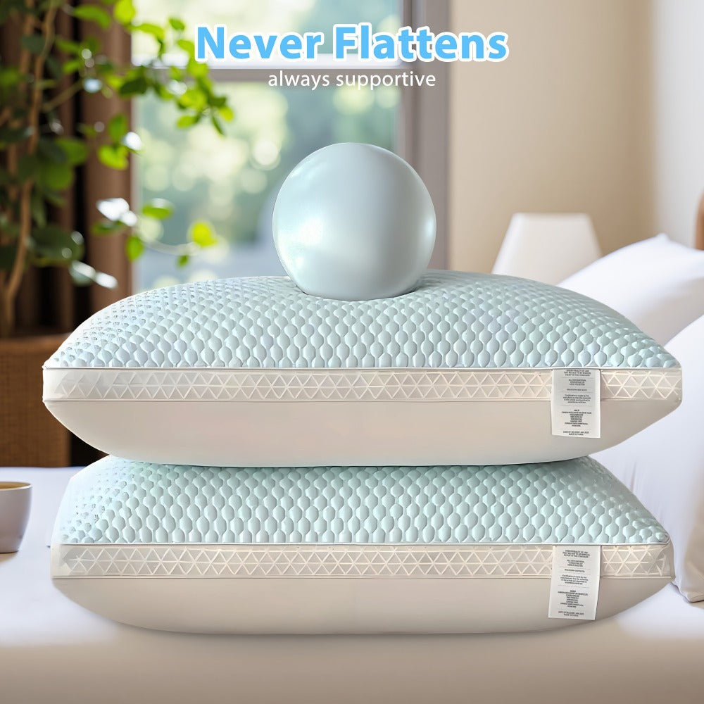 Bed Pillows 2 Pack for All Sleeping Positions, Premium Polyester Fill Pillow Set for Side Back Stomach Sleepers, Machine Washable Zipper Closure Pillows for Bedroom Dorm Guest Room, All-Season Comfort