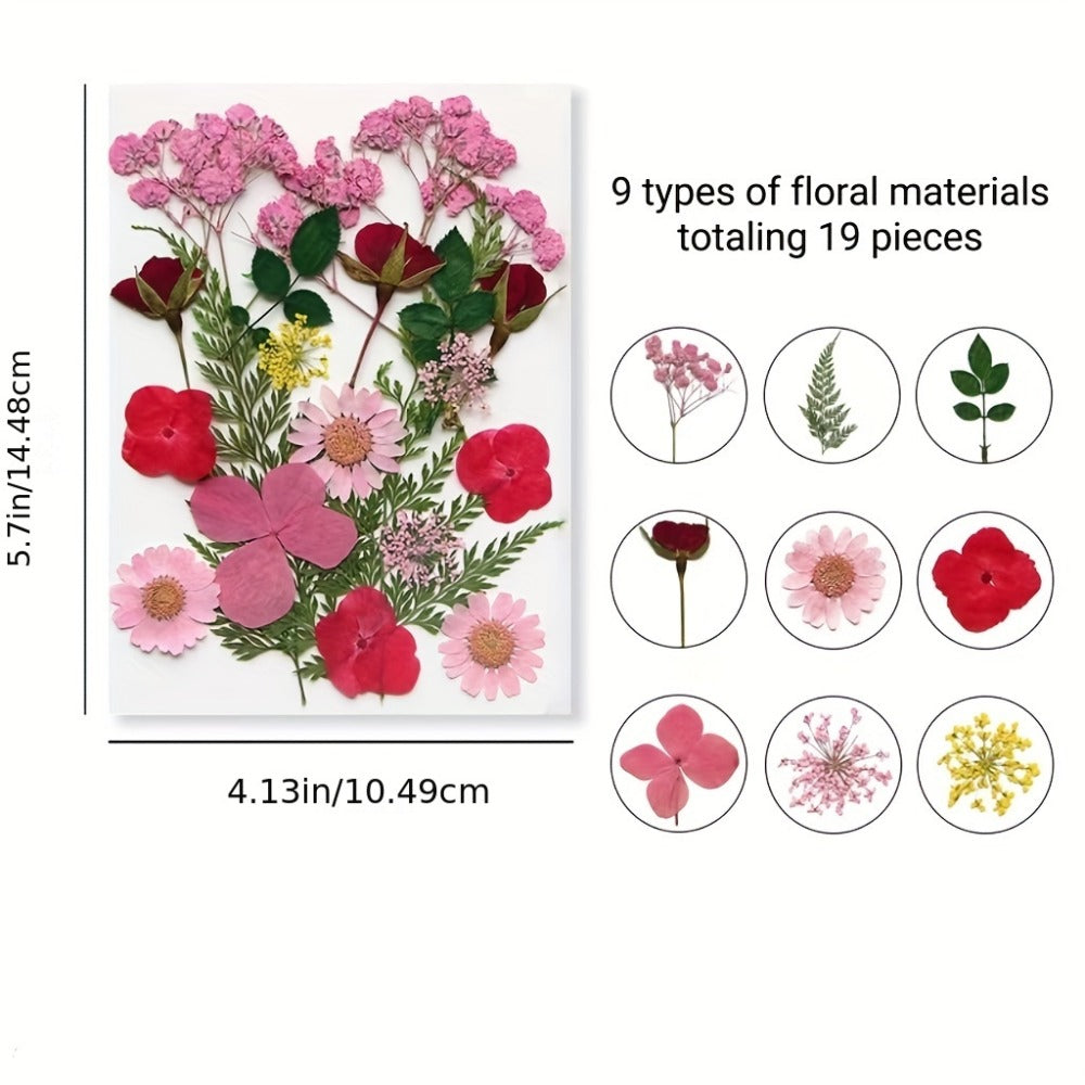 Dried Flower Set for Crafts ¨C Real Pressed Flowers for Resin, Scrapbooking, Epoxy Jewelry, Bookmarks, Wedding Cards & Art Decoration, 189 / 238 / 287 / 319 Pieces Mixed Variety Pack