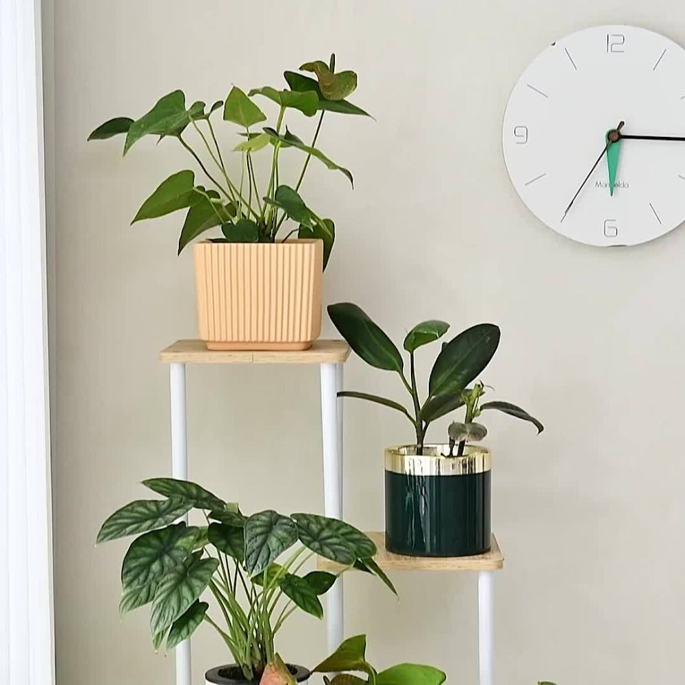Plant Stand Indoor Multi Tier Corner Metal Flower Stand Tall Plant Shelf for Living Room Bedroom Patio Garden Balcony 5 Tier 7 Tier 9 Tier Black White Black Oak Utility Rack