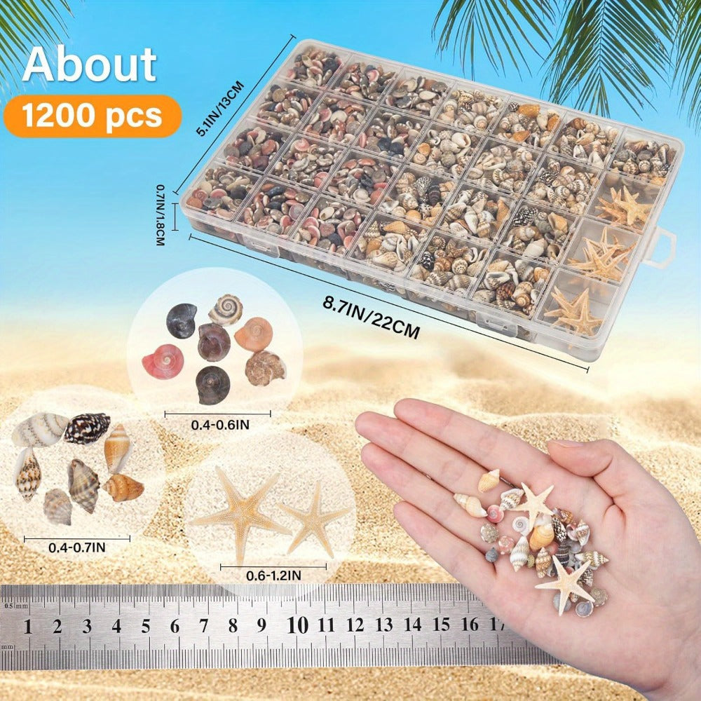 Tiny Seashells Starfish Bulk Set Beach Decor Crafts Vase Filler