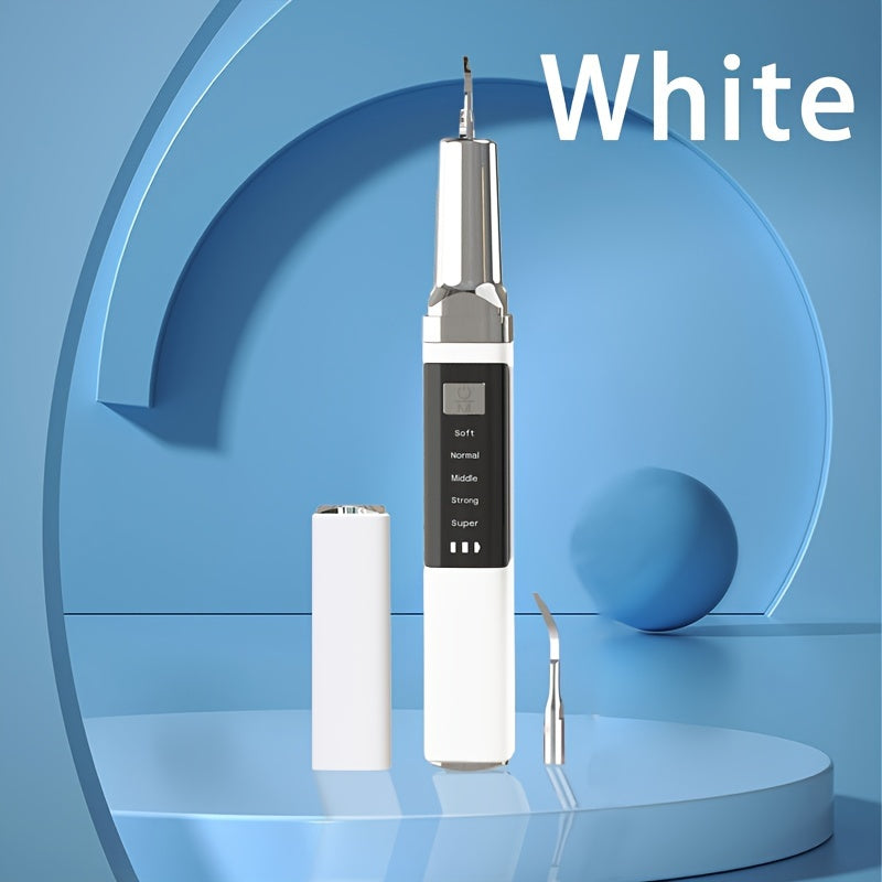 Electric Teeth Cleaner Kit with 2 LED Lights & Mirror ¨C 5 Adjustable Modes, 2 Replaceable Heads, Type-C Rechargeable Dental Plaque Remover & Tartar Scraper for Home Teeth Cleaning
