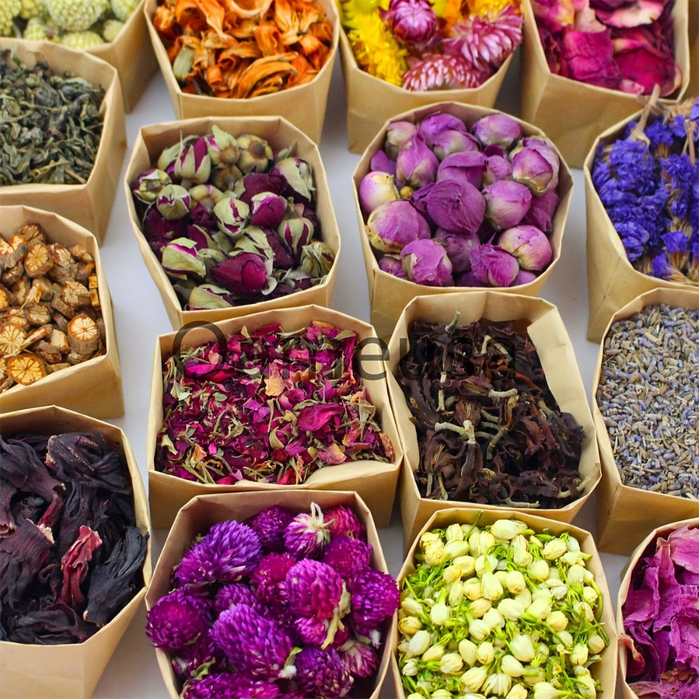 Dried Flowers Craft Set 24 Packs Natural Dried Botanicals for Resin Jewelry Making DIY Candle Soap Scrapbook Seasonal Decor Roses Lavender Jasmine Peony Forget-Me-Not Mixed Flower Kit