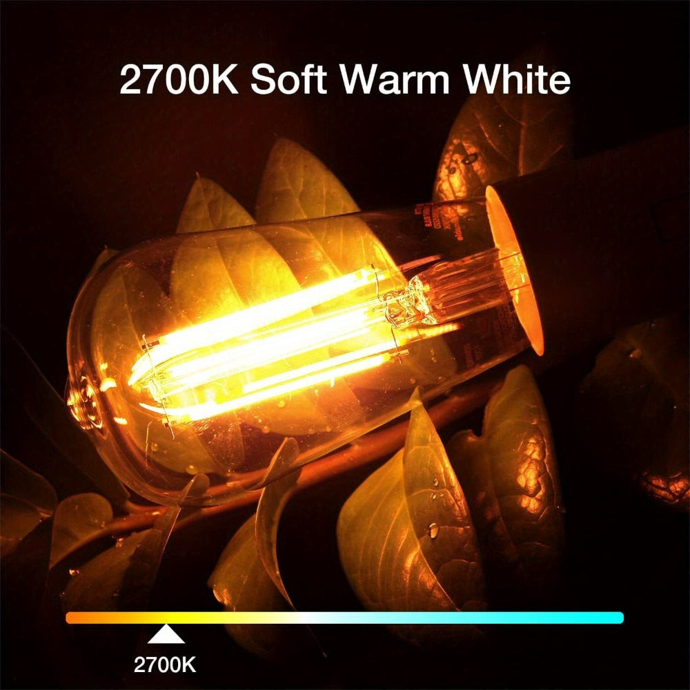 Edison Bulbs LED Vintage, 8W 60W Equivalent Dimmable E26 Base, 800 Lumens 2700K Warm White, 80+ CRI Antique Filament Style LED Edison Light Bulbs for Home Bedroom Office Cottage Living Room, 12 Pack