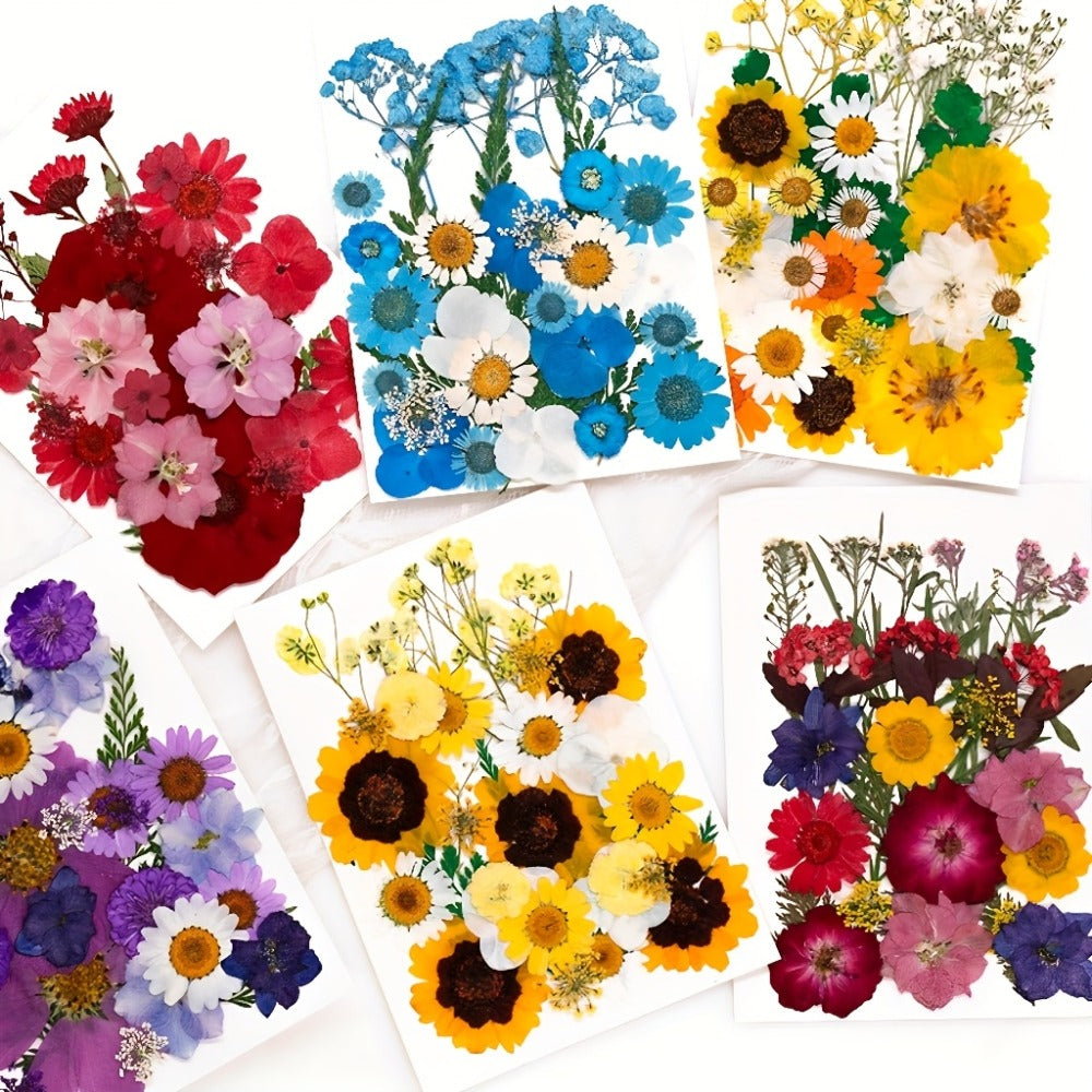 Dried Pressed Flowers Kit 500pcs ¨C Natural Real Flower Petals & Leaves for Resin Art, Nail Art, Jewelry Making, Scrapbooking, Phone Case Decor, Candle Making & DIY Floral Crafts