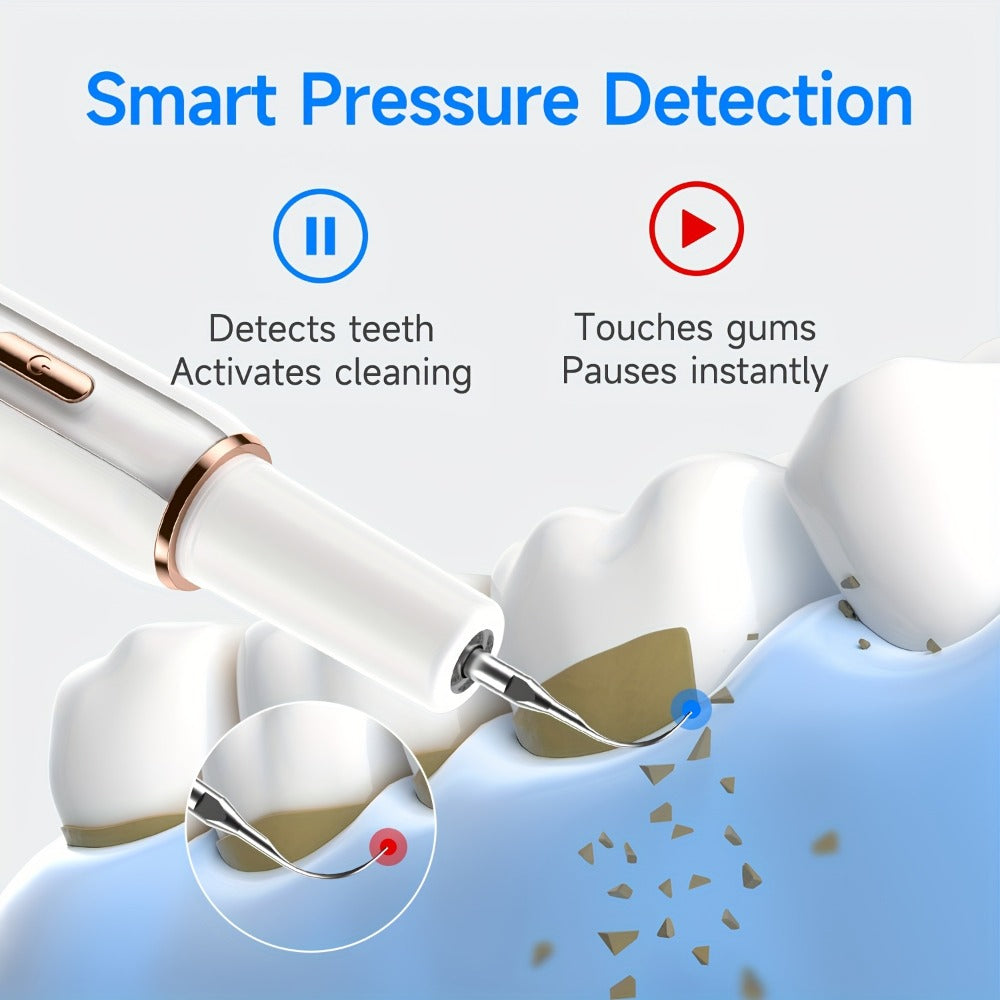 Interdental Plaque Remover with LED Light ¨C Electric Teeth Cleaner, 5 Cleaning Modes, 2 Replacement Heads, Oral Irrigator-Like Function, No Water Required, Dental Care for Travel & Home Use