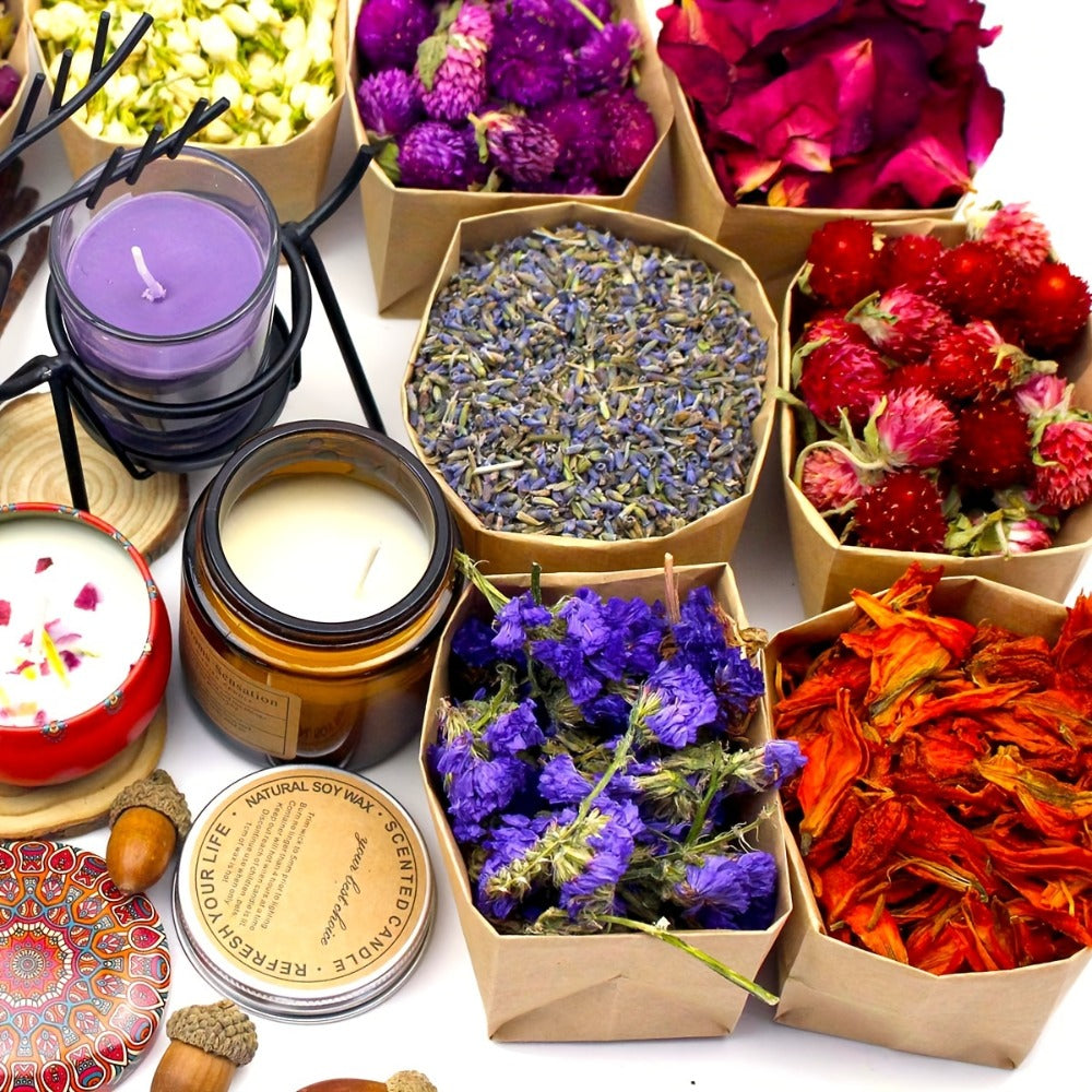 Dried Flowers Craft Set 24 Packs Natural Dried Botanicals for Resin Jewelry Making DIY Candle Soap Scrapbook Seasonal Decor Roses Lavender Jasmine Peony Forget-Me-Not Mixed Flower Kit