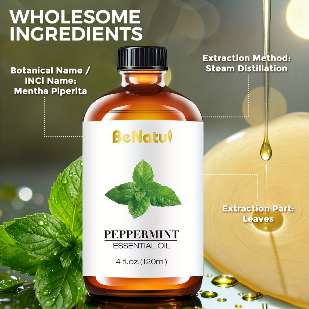 Carrier Oil & Essential Oil 4oz Argan Jojoba Rosehip Vitamin E Rosemary Lemongrass Vanilla Cinnamon for Massage Body Oil Diffuser Soap Candle Hair Skin Care