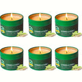 Citronella Candles Outdoor 6-Pack 4.4oz Each ¨C 150 Hours Long Burning, Mosquito Repellent Candles Set for Camping, Patio, BBQ, Garden, Yard, Deck & Lanai ¨C Father¡¯s Day Gift Idea
