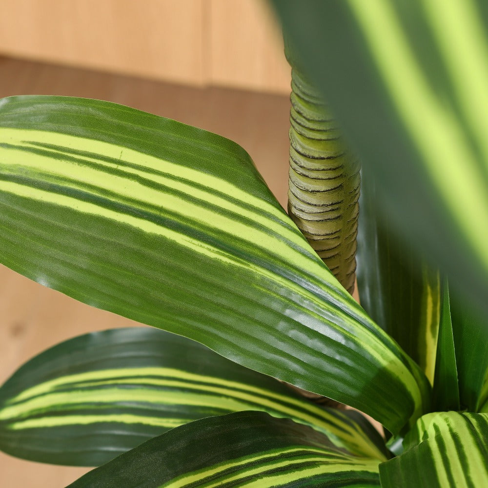 Artificial Dracaena Tree in Pot - Realistic Faux Tropical Floor Plant for Indoor & Outdoor Decor, Easy Assembly, All-Season Home Office Living Room Porch Decoration, Housewarming Gift, 4ft 5ft 6ft