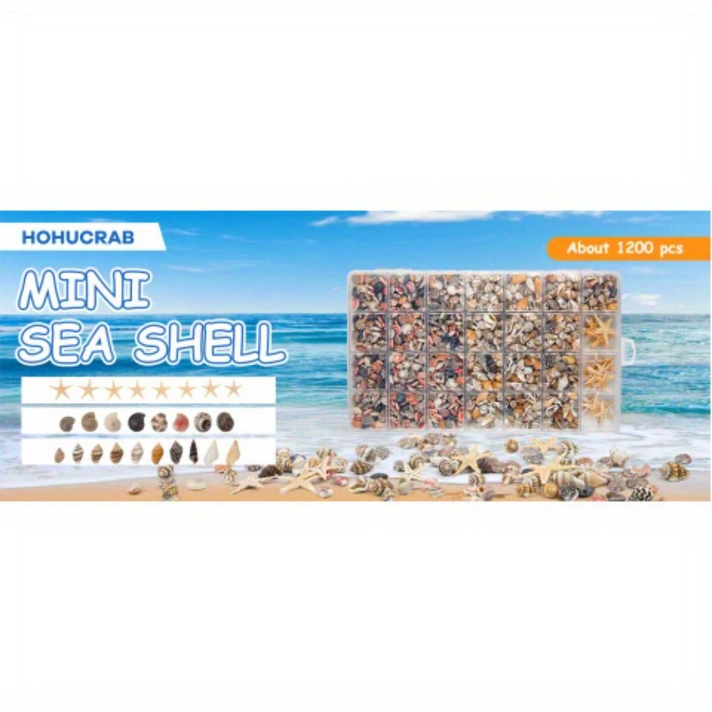 Tiny Seashells Starfish Bulk Set Beach Decor Crafts Vase Filler