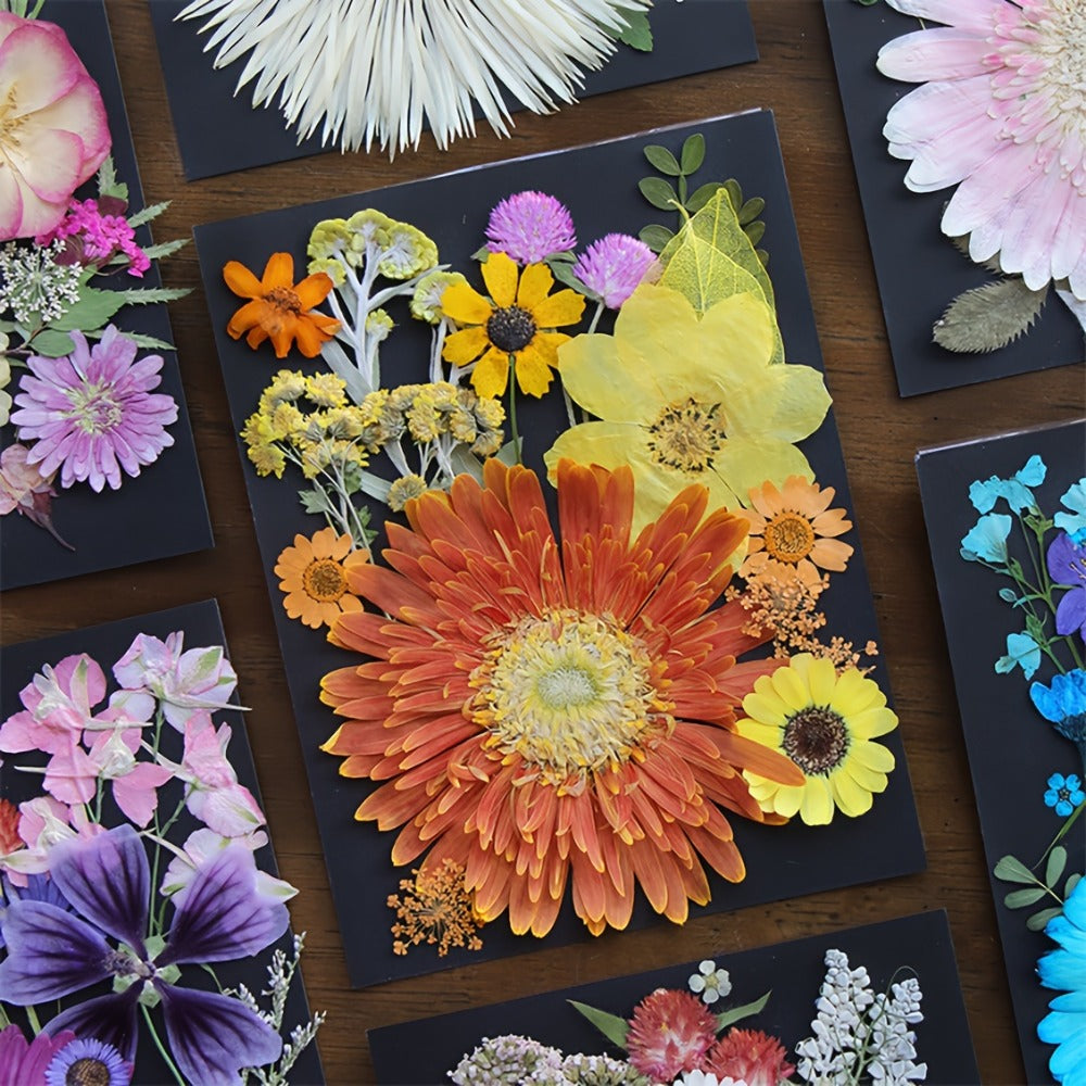 Dried Pressed Flowers for Resin 60pcs Real Pressed Flowers Dry Leaves Bulk Natural Herbs Kit for Scrapbooking DIY Art Crafts, Epoxy Resin Jewelry Molds, Candle Soap Making Nail Decor
