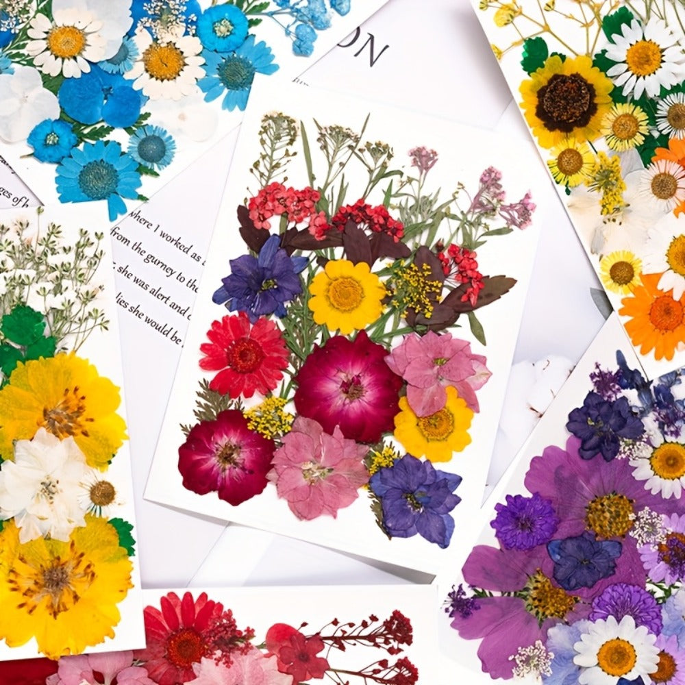 Dried Pressed Flowers Kit 500pcs ¨C Natural Real Flower Petals & Leaves for Resin Art, Nail Art, Jewelry Making, Scrapbooking, Phone Case Decor, Candle Making & DIY Floral Crafts